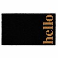 Configuracion 17 x 29 in. Vertical Hello Rectangular Doormat Black & Natural CO3360614